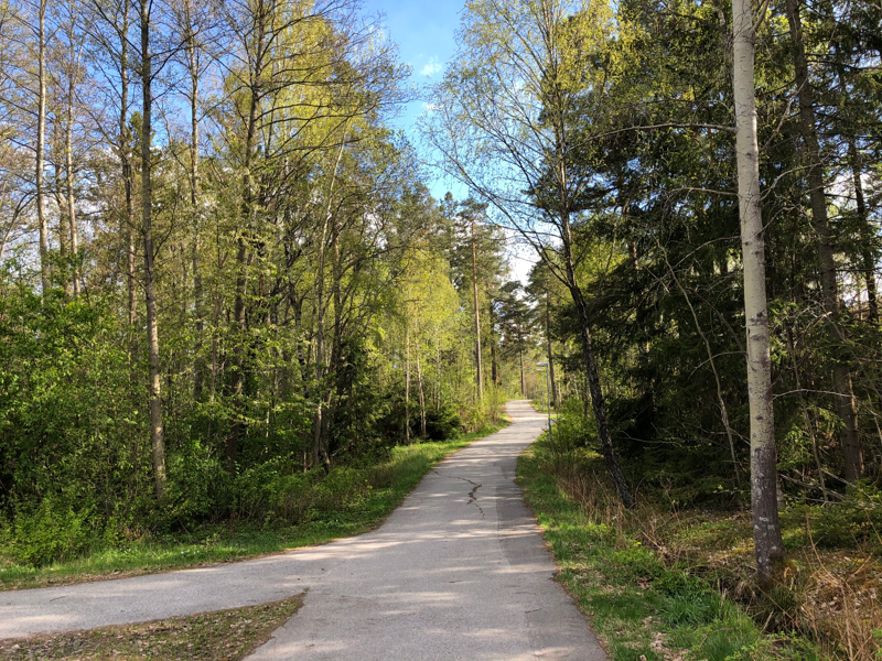 Väg genom skog